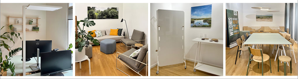 Bildstreifen mit 4 Motiven eines nachhaltigen, biophil gestalteten Büros