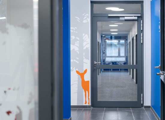 Blick in eine Flurabfolge in einem Verwaltungsgebäude mit grauen Brandschutz-Glastüren. Auf der Wand sieht man einen orangen Reh-Umriss vor einer hellgrauen Kiefernsilhouette.