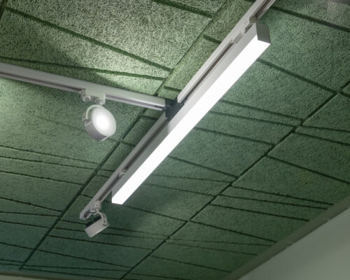 Grüne Holzwolle-Akustikplatten mit dekorativen grafischen Nuten als Deckenverkleidung. Darauf eine weiße Stromschiene mit verschiedenen Leuchten.