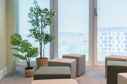 Nahaufnahme aus dem agilen Meetingraum mit zwei Zimmerpflanzen links im Bild und angeschnittenen Polsterhockern. Im Hintergrund ein vager Blick durch die Fenster und Lamellen-Jalousien in die Umgebung.