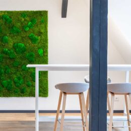 Dachgeschoss-Ausbau-vor Vorschaubild Dachgeschoss-Ausbau Büro Berlin