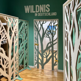 wildnis-büro-vorschau Dieses Bild führt als Link zur Projektseite über die nachhaltige Bürogestaltung der Klimawildniszentrale in Berlin. Man sieht den Eingangsbereich mit Raumteilern, die Baummotive zeigen.